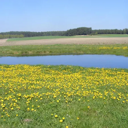 Κατάλυμα σε φάρμα Wczasy Na Kaszubach Gorki (Koscierzyna)