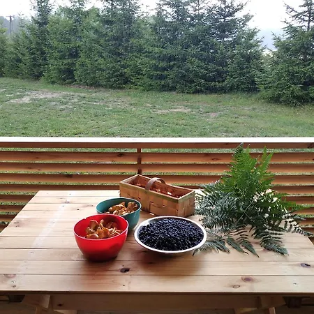 Wczasy Na Kaszubach