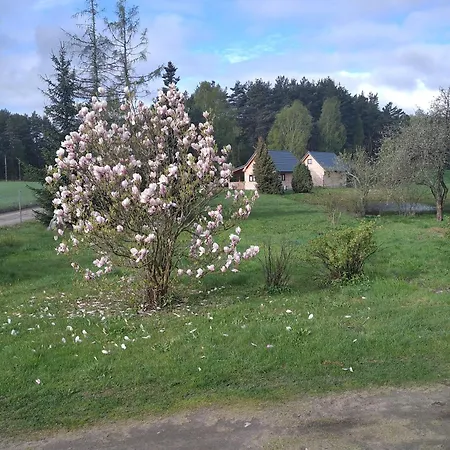 Wczasy Na Kaszubach Gorki (Koscierzyna)