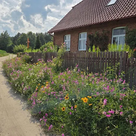 Wczasy Na Kaszubach ファームステイ Gorki (Koscierzyna)