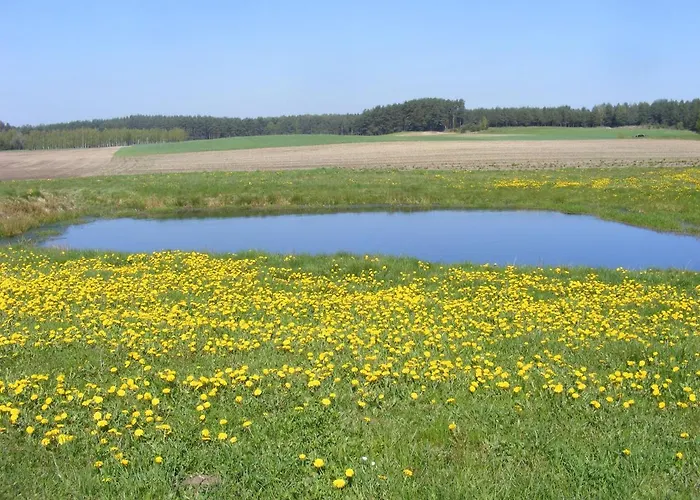 Фермерский дом Wczasy Na Kaszubach Gorki (Koscierzyna)