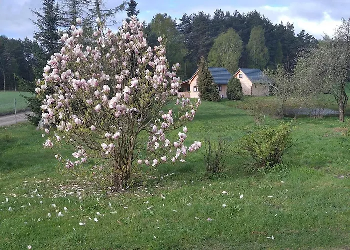Wczasy Na Kaszubach Gorki (Koscierzyna)